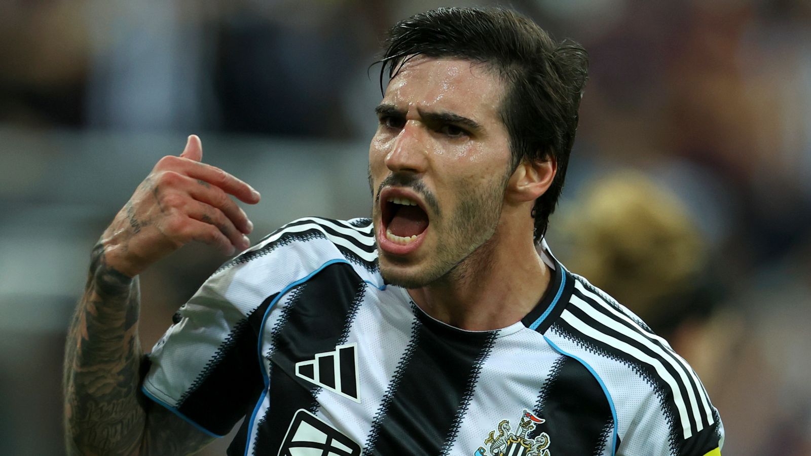 桑德罗·托纳利加盟热刺：意大利中场的速度、活力和技术质量将成为德泽尔比的关键
